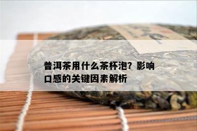 普洱茶用什么茶杯泡？影响口感的关键因素解析