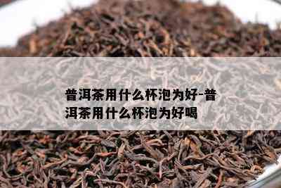 普洱茶用什么杯泡为好-普洱茶用什么杯泡为好喝