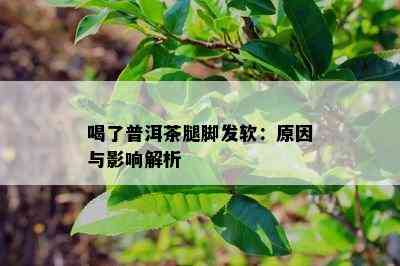 喝了普洱茶腿脚发软：原因与影响解析