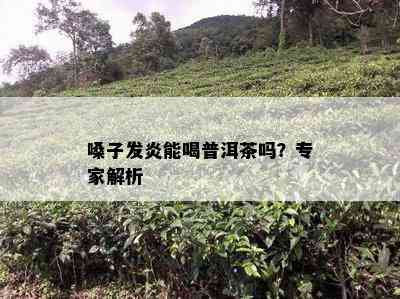 嗓子发炎能喝普洱茶吗？专家解析