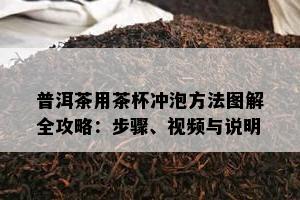 普洱茶用茶杯冲泡方法图解全攻略：步骤、视频与说明