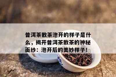 普洱茶散茶泡开的样子是什么，揭开普洱茶散茶的神秘面纱：泡开后的美妙样子！