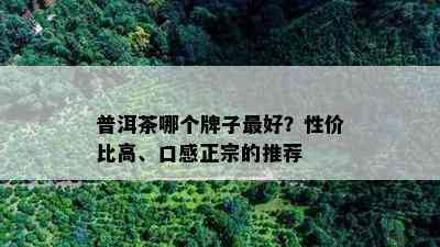 普洱茶哪个牌子更好？性价比高、口感正宗的推荐