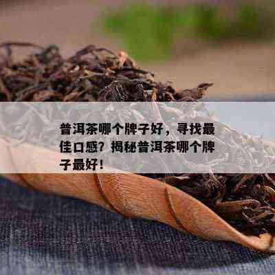 普洱茶哪个牌子好，寻找更佳口感？揭秘普洱茶哪个牌子更好！