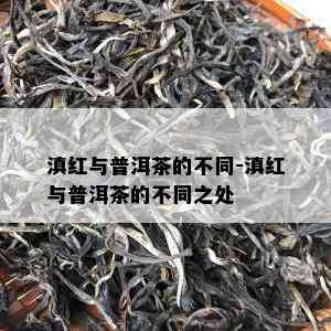 滇红与普洱茶的不同-滇红与普洱茶的不同之处