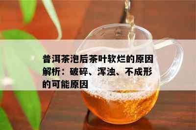 普洱茶泡后茶叶软烂的原因解析：破碎、浑浊、不成形的可能原因