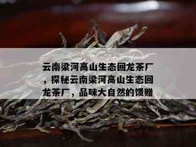 云南梁河高山生态回龙茶厂，探秘云南梁河高山生态回龙茶厂，品味大自然的馈赠