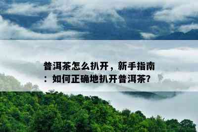 普洱茶怎么扒开，新手指南：如何正确地扒开普洱茶？