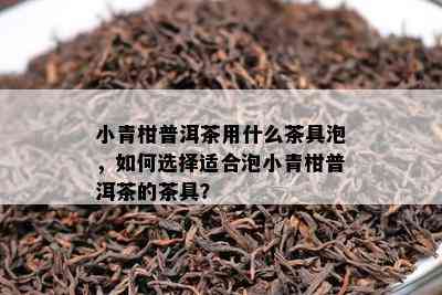 小青柑普洱茶用什么茶具泡，如何选择适合泡小青柑普洱茶的茶具？