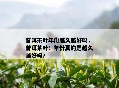 普洱茶叶年份越久越好吗，普洱茶叶：年份真的是越久越好吗？