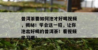 普洱茶要如何泡才好喝视频，揭秘！学会这一招，让你泡出好喝的普洱茶！看视频学习吧！