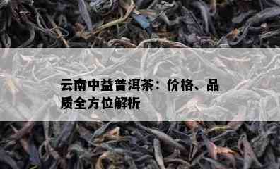 云南中益普洱茶：价格、品质全方位解析