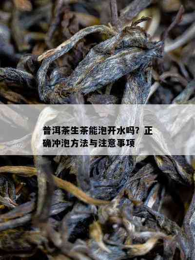 普洱茶生茶能泡开水吗？正确冲泡方法与注意事项