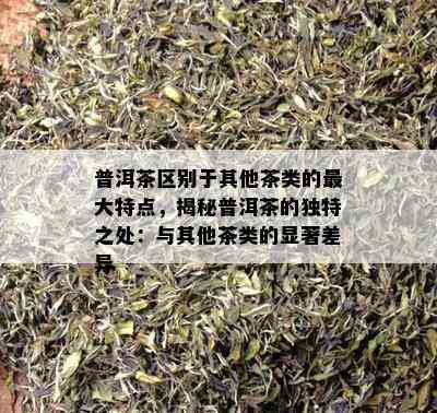 普洱茶区别于其他茶类的更大特点，揭秘普洱茶的独特之处：与其他茶类的显著差异