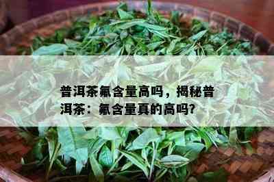 普洱茶氟含量高吗，揭秘普洱茶：氟含量真的高吗？