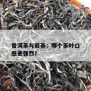 普洱茶与岩茶：哪个茶叶口感更强烈？