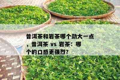 普洱茶和岩茶哪个劲大一点，普洱茶 vs 岩茶：哪个的口感更强烈？