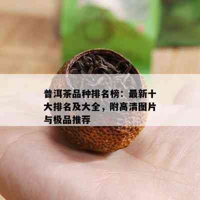 普洱茶品种排名榜：最新十大排名及大全，附高清图片与极品推荐