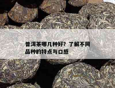 普洱茶哪几种好？了解不同品种的特点与口感