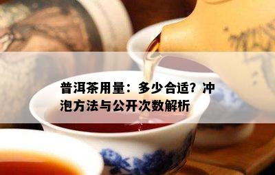 普洱茶用量：多少合适？冲泡方法与公开次数解析