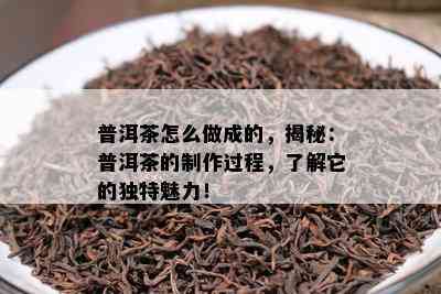 普洱茶怎么做成的，揭秘：普洱茶的制作过程，了解它的独特魅力！