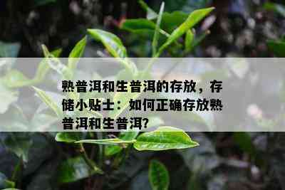 熟普洱和生普洱的存放，存储小贴士：如何正确存放熟普洱和生普洱？