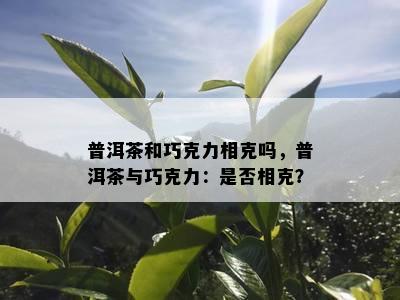 普洱茶和巧克力相克吗，普洱茶与巧克力：是否相克？