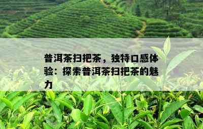 普洱茶扫把茶，独特口感体验：探索普洱茶扫把茶的魅力