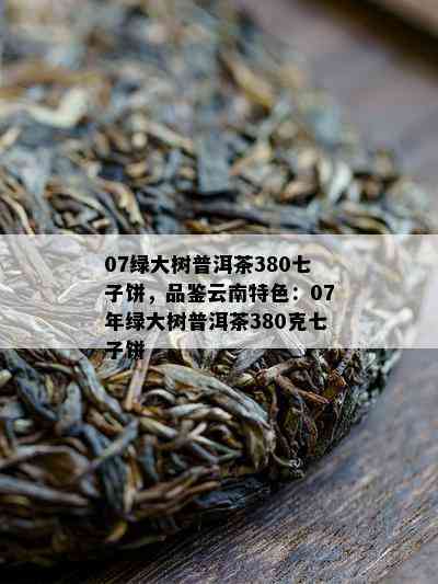 07绿大树普洱茶380七子饼，品鉴云南特色：07年绿大树普洱茶380克七子饼