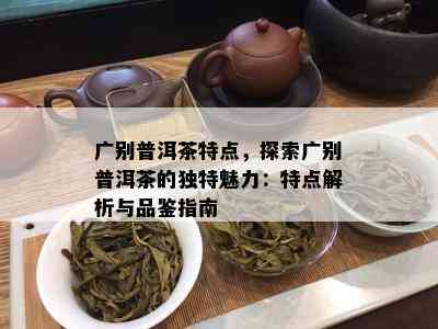 广别普洱茶特点，探索广别普洱茶的独特魅力：特点解析与品鉴指南