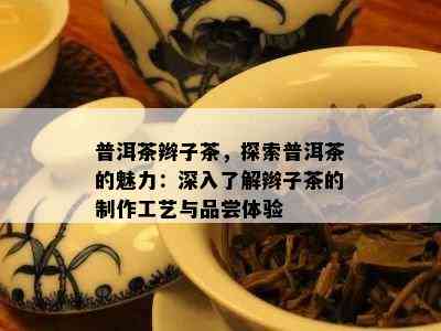 普洱茶辫子茶，探索普洱茶的魅力：深入了解辫子茶的制作工艺与品尝体验