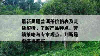 最新吴疆普洱茶价格表及走势解析，了解产品特点、营销策略与专家观点，判断是否值得购买