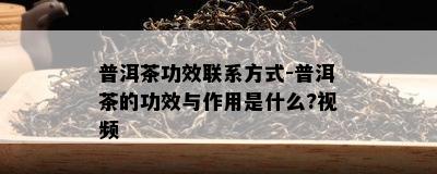 普洱茶功效联系方式-普洱茶的功效与作用是什么?视频