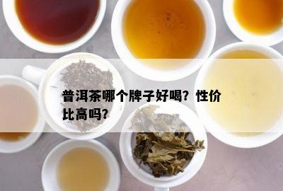 普洱茶哪个牌子好喝？性价比高吗？