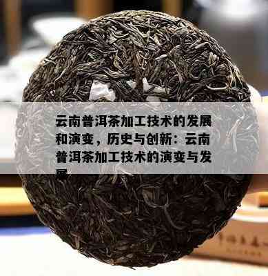 云南普洱茶加工技术的发展和演变，历史与创新：云南普洱茶加工技术的演变与发展