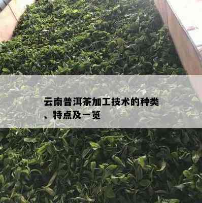 云南普洱茶加工技术的种类、特点及一览