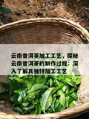 云南普洱茶加工工艺，探秘云南普洱茶的制作过程：深入了解其独特加工工艺