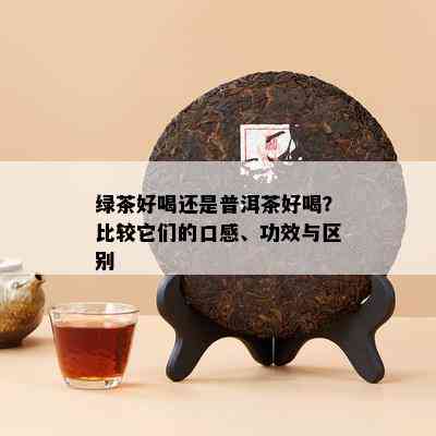 绿茶好喝还是普洱茶好喝？比较它们的口感、功效与区别