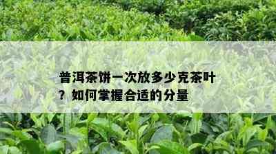 普洱茶饼一次放多少克茶叶？如何掌握合适的分量