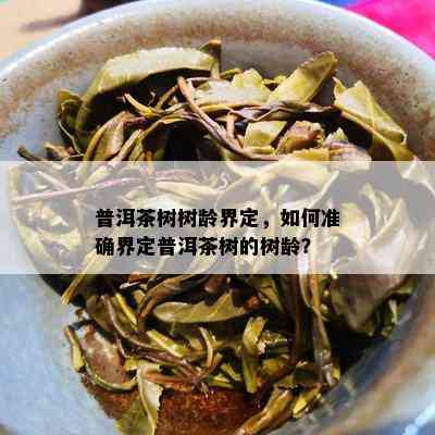 普洱茶树树龄界定，如何准确界定普洱茶树的树龄？