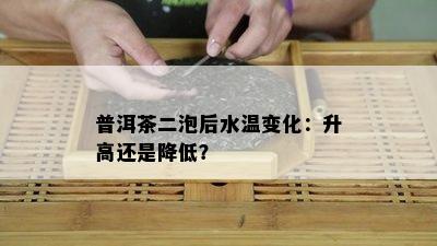 普洱茶二泡后水温变化：升高还是降低？