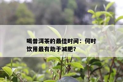 喝普洱茶的更佳时间：何时饮用最有助于减肥？