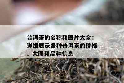 普洱茶的名称和图片大全：详细展示各种普洱茶的价格、大图和品种信息