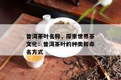 普洱茶叶名称，探索世界茶文化：普洱茶叶的种类和命名方式