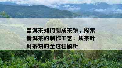 普洱茶如何制成茶饼，探索普洱茶的制作工艺：从茶叶到茶饼的全过程解析