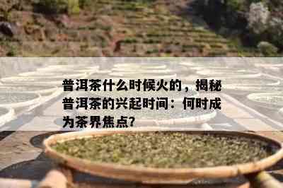 普洱茶什么时候火的，揭秘普洱茶的兴起时间：何时成为茶界焦点？