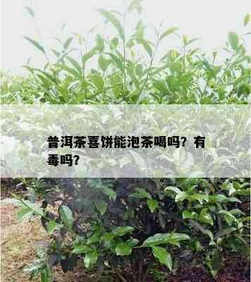 普洱茶喜饼能泡茶喝吗？有吗？