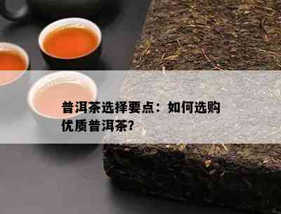 普洱茶选择要点：如何选购优质普洱茶？