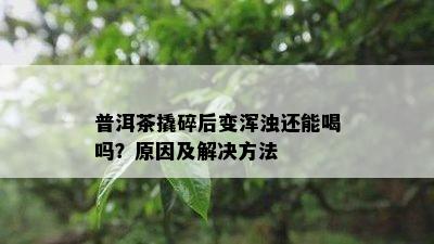 普洱茶撬碎后变浑浊还能喝吗？原因及解决方法