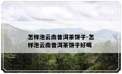 怎样泡云南普洱茶饼子-怎样泡云南普洱茶饼子好喝